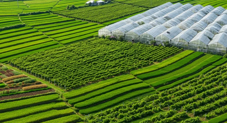 Quais são os tipos de cultivo?